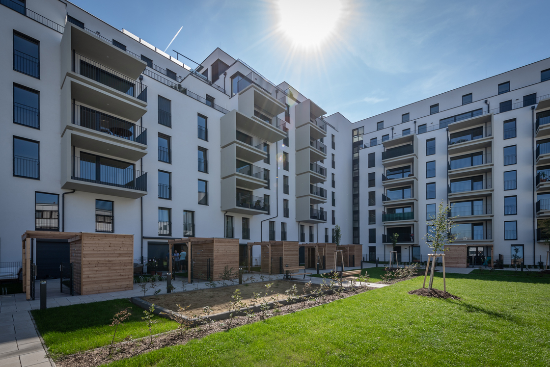 Ein Foto von Leo Fellinger