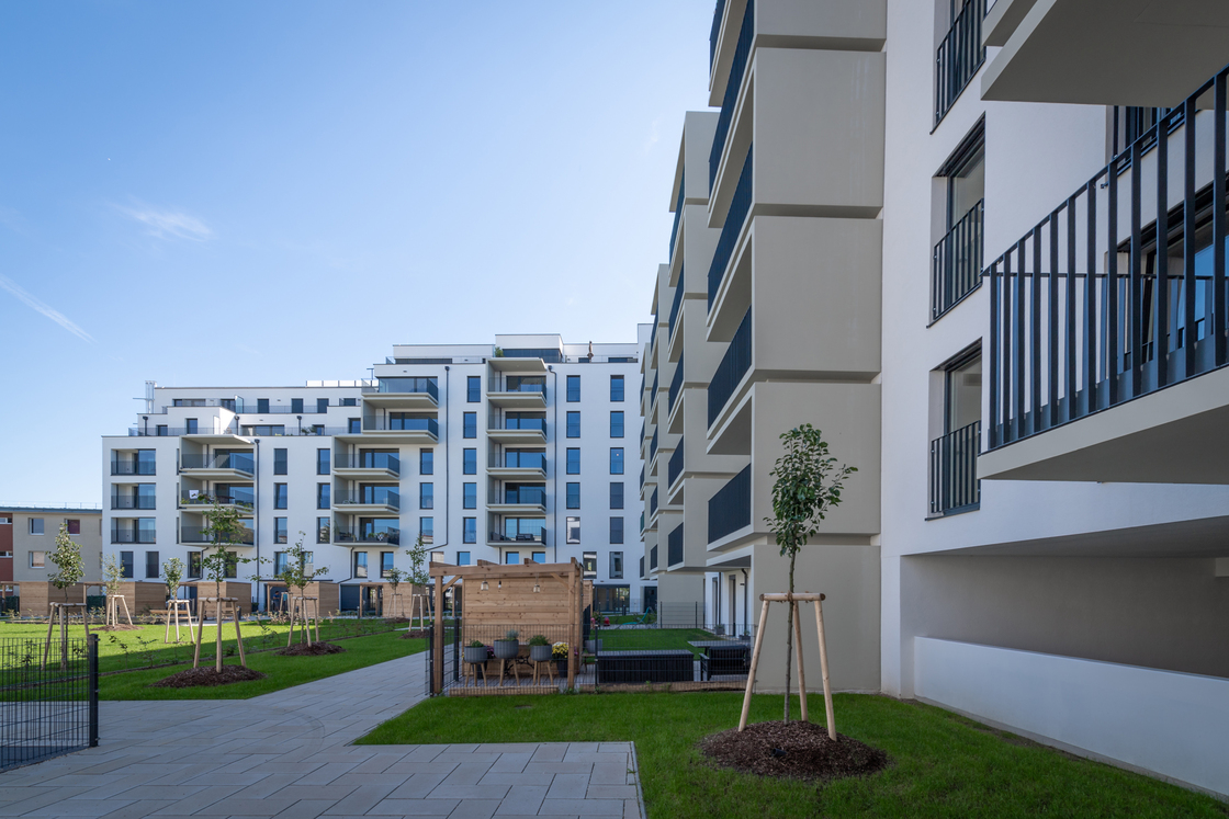 Ein Foto von Leo Fellinger