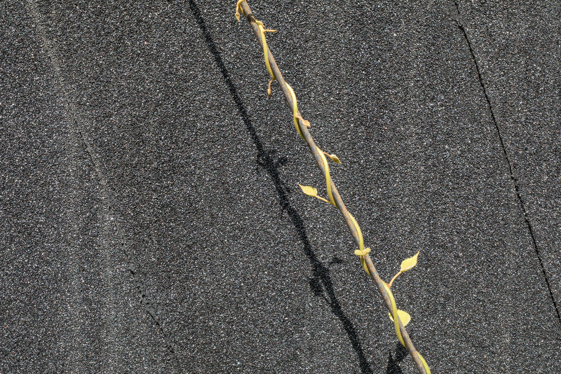 Ein Foto von Günter Richard Wett