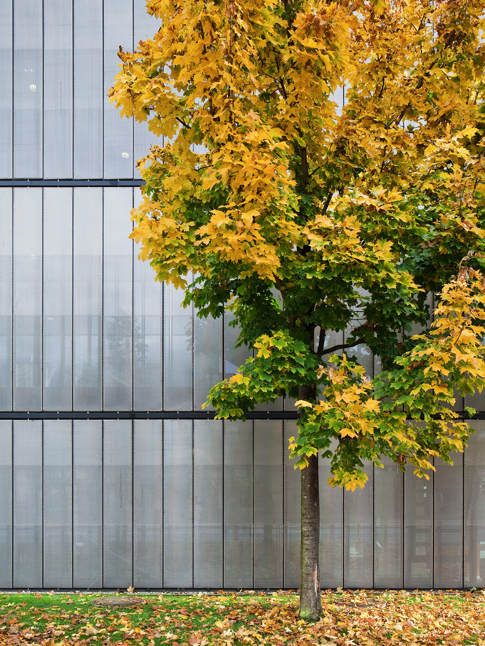 Ein Foto von Christian Flatscher