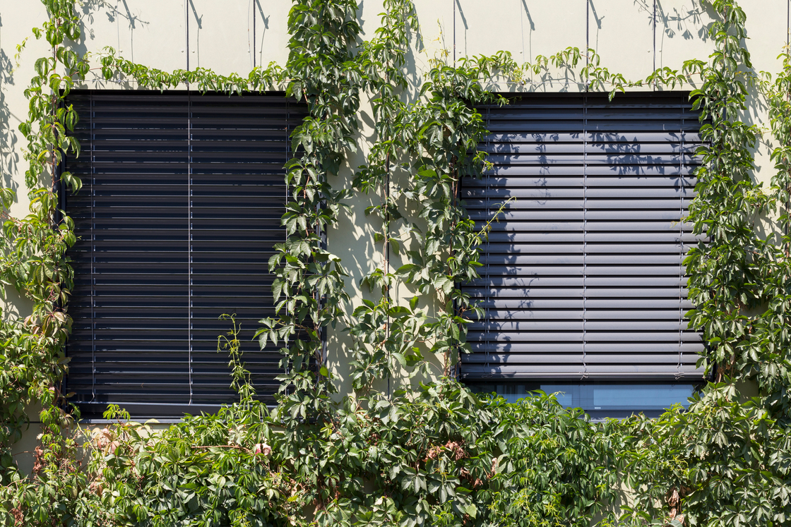 Ein Foto von Mark Sengstbratl