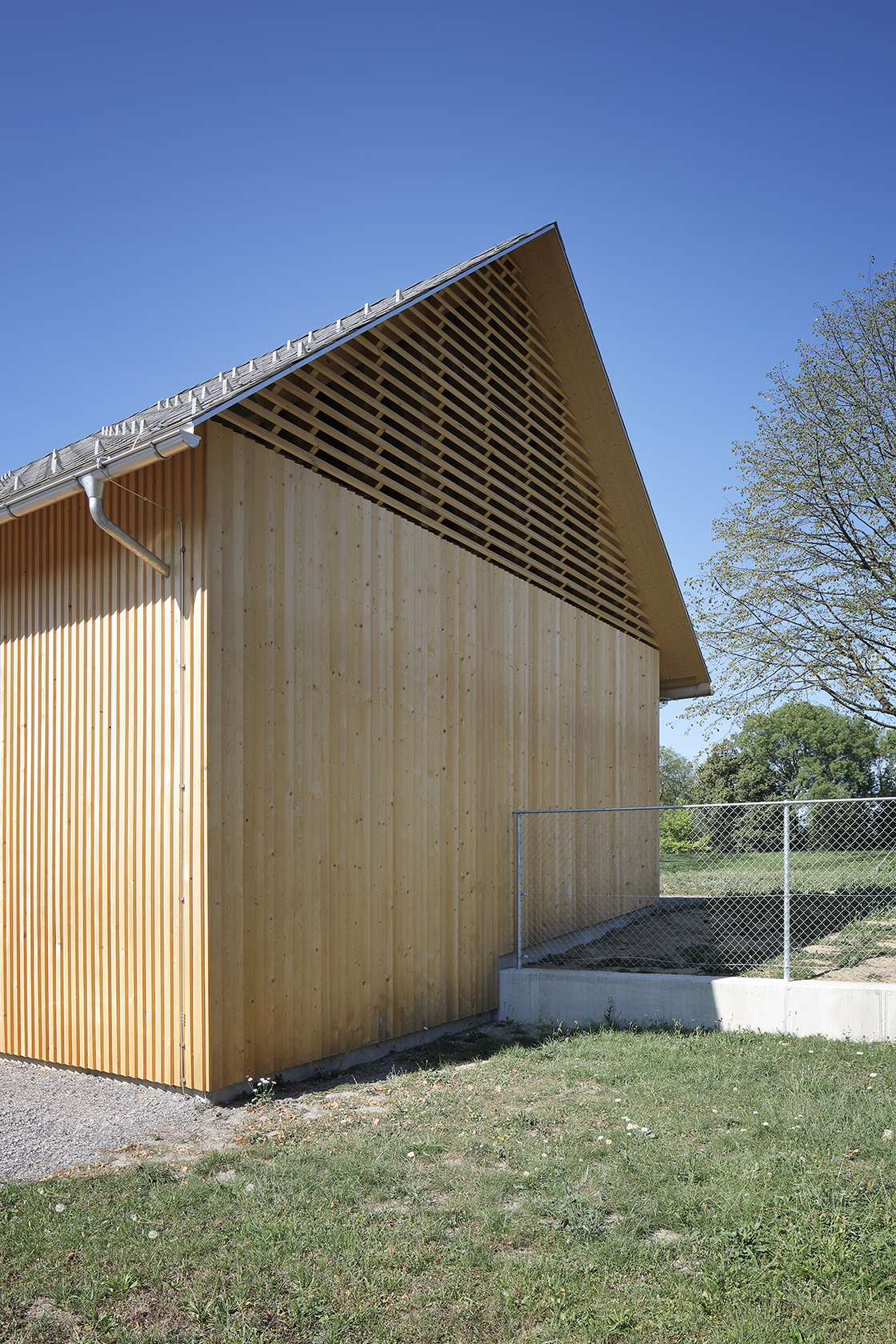 Ein Foto von Norman Radon