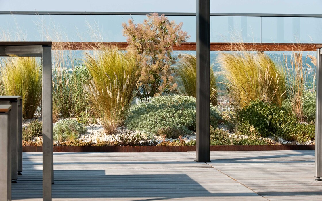 Ein Foto von Alexander Chitsazan