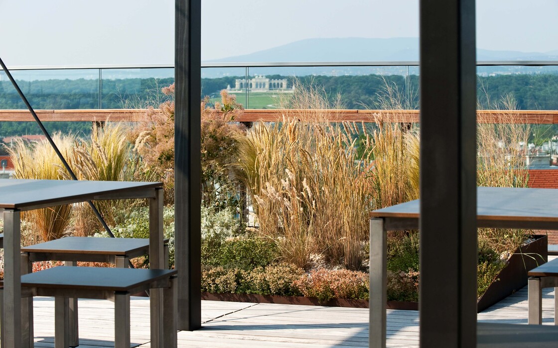 Ein Foto von Alexander Chitsazan