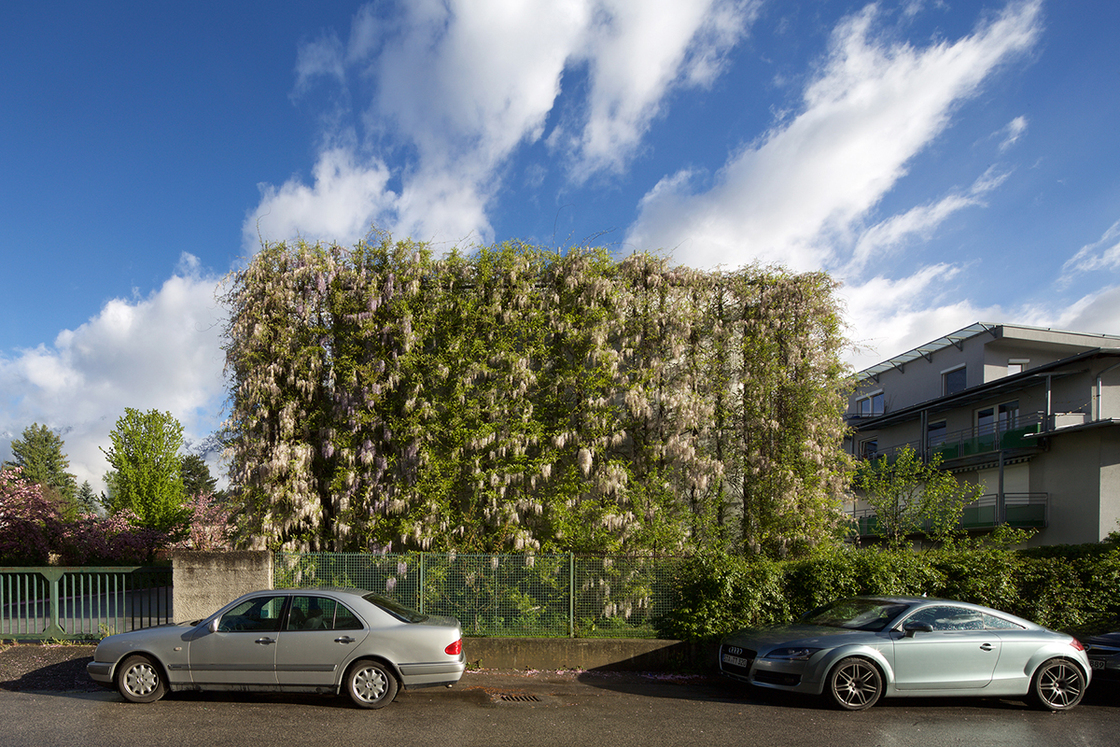 Ein Foto von Günter Richard Wett