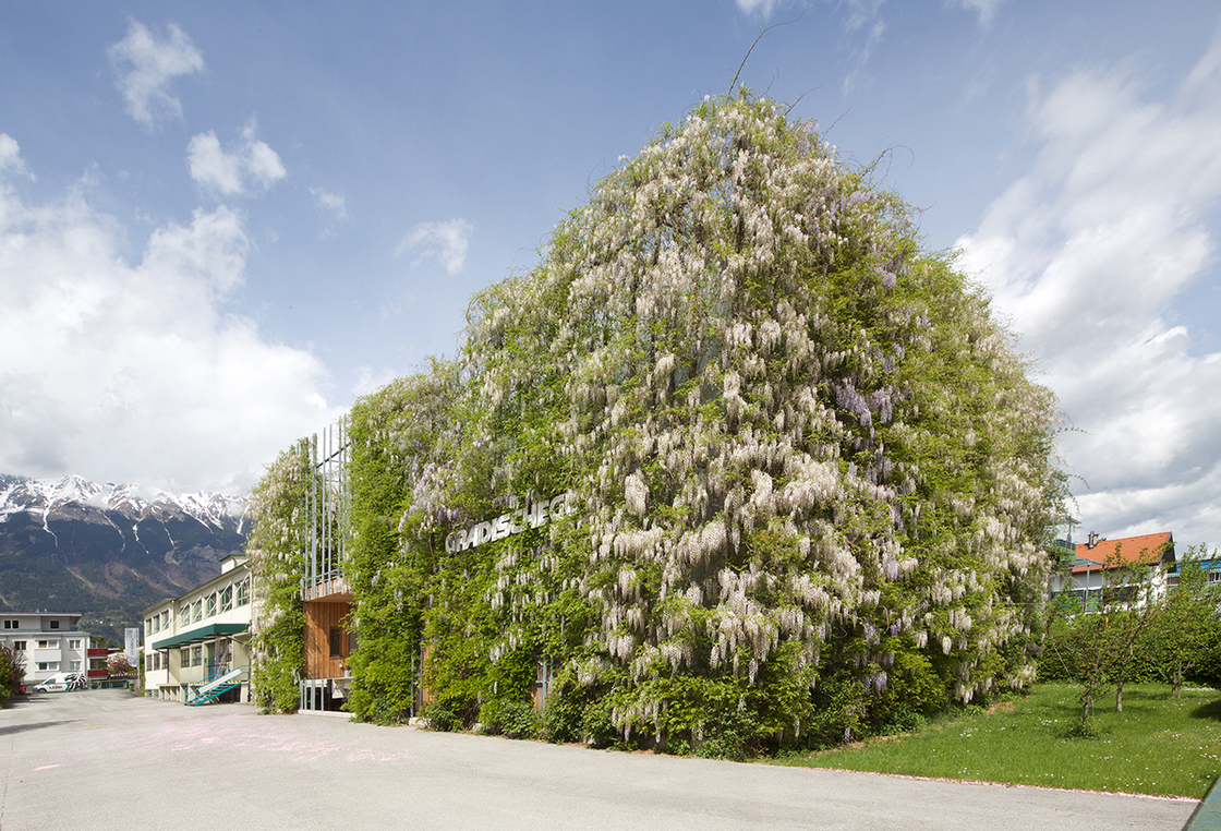 Ein Foto von Günter Richard Wett