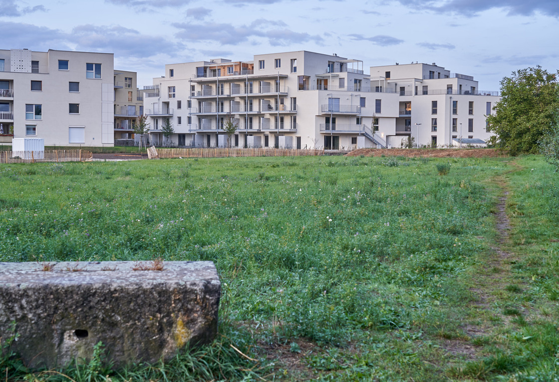 Ein Foto von Norbert Mayr