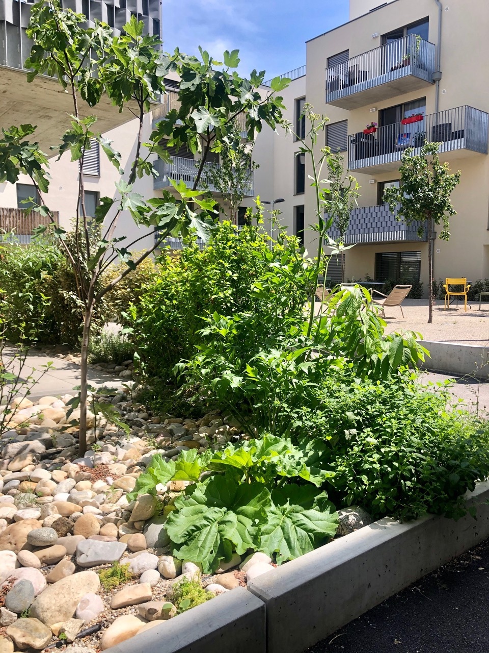 Ein Foto von Norbert Mayr