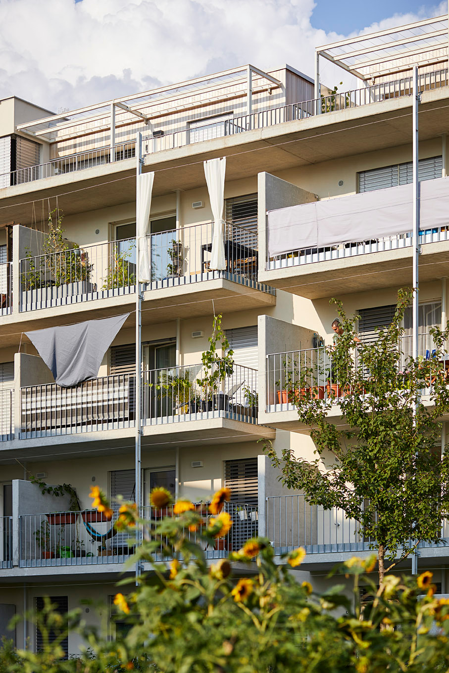 Ein Foto von Manfred Seidl