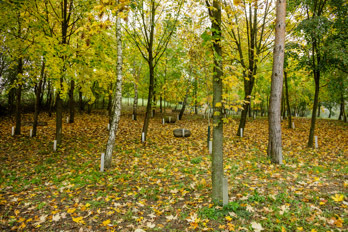 Ein Foto von Konrad Neubauer