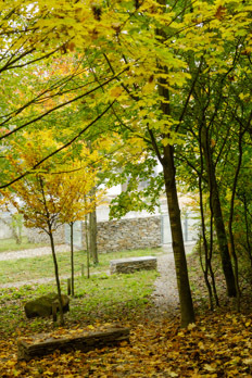 Ein Foto von Konrad Neubauer