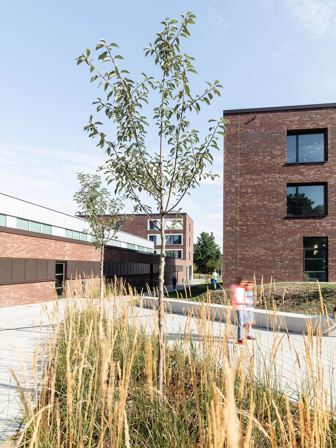 Ein Foto von tschinkersten