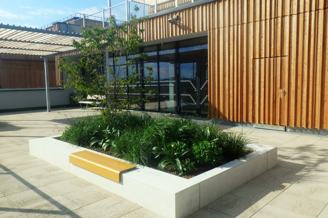 Ein Foto von Land in Sicht