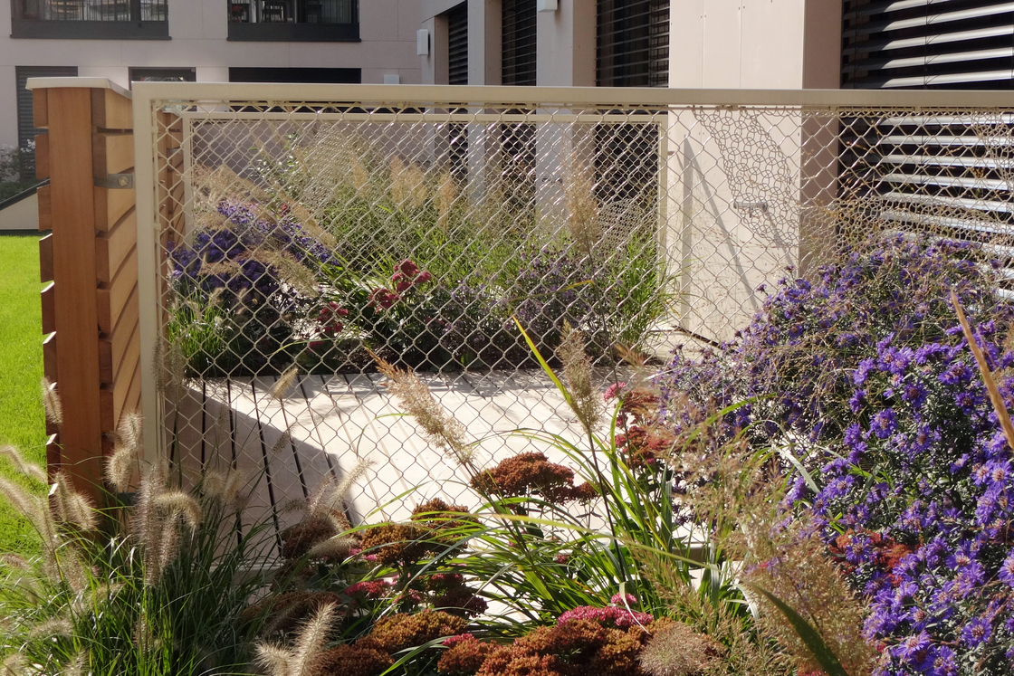 Ein Foto von Land in Sicht