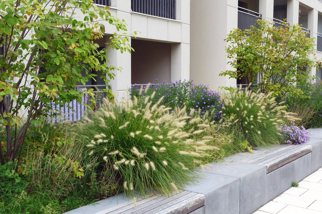 Ein Foto von Land in Sicht