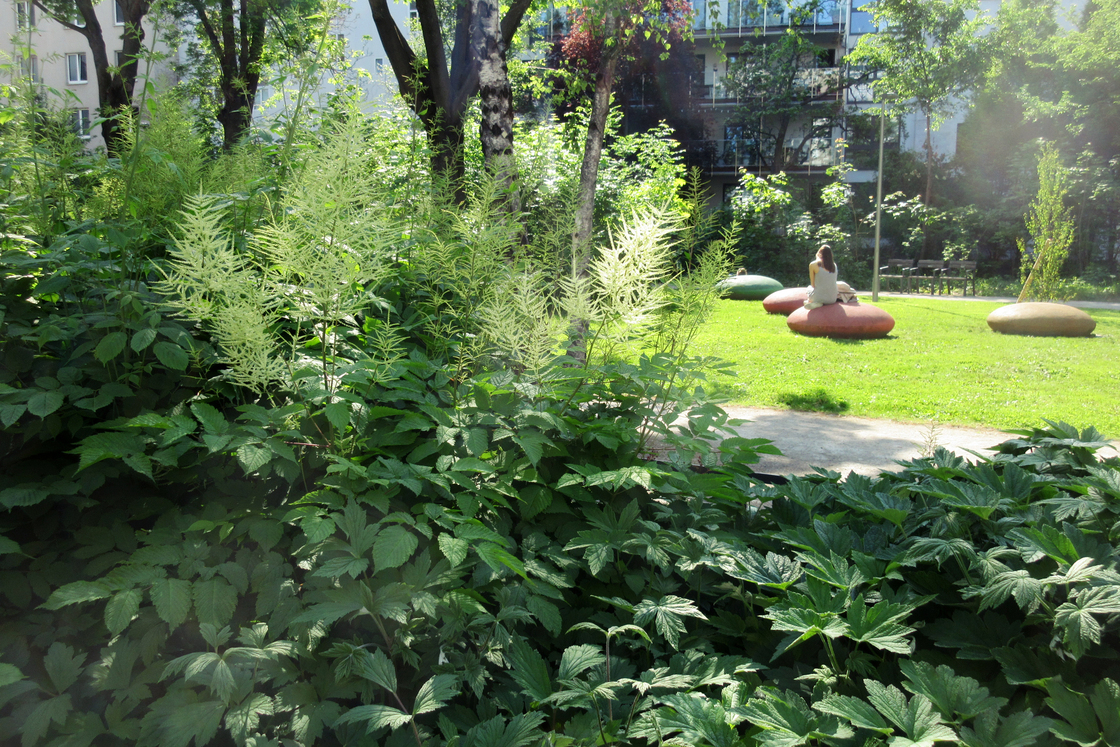 Ein Foto von Land in Sicht