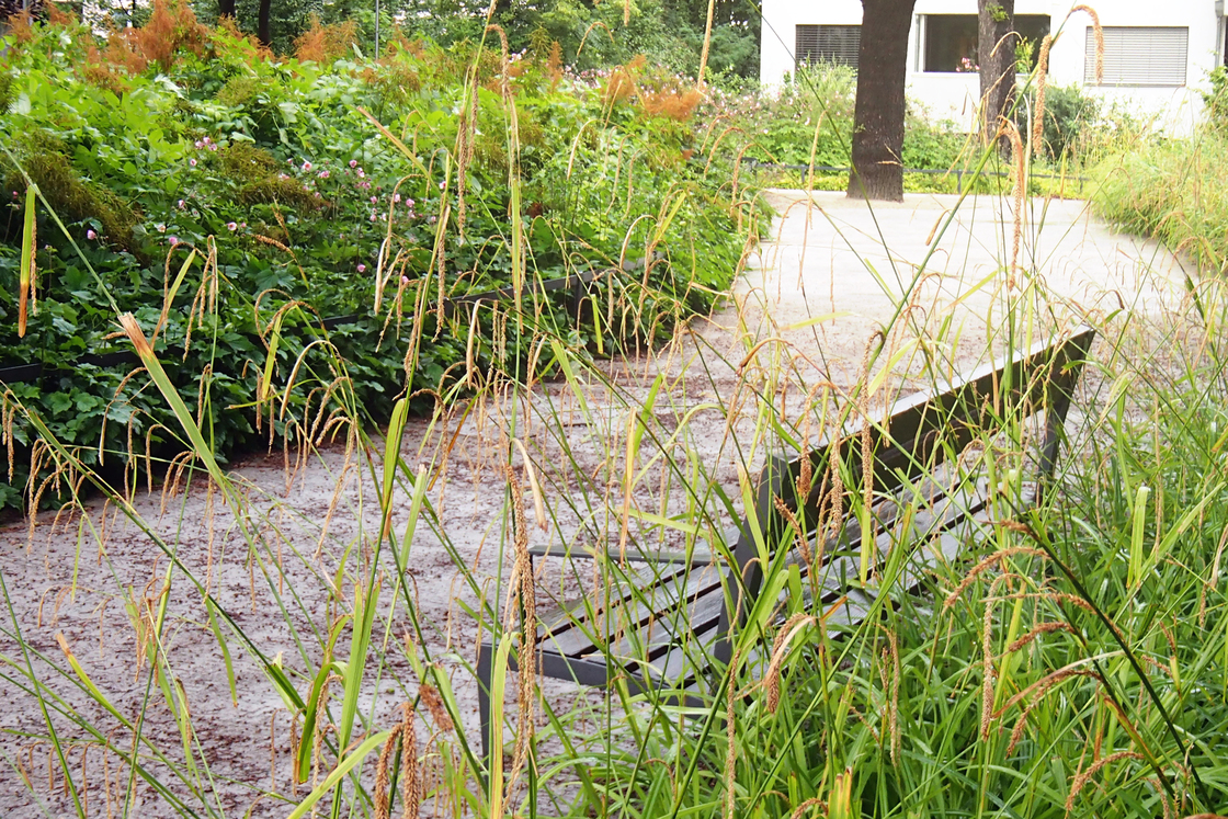 Ein Foto von Land in Sicht