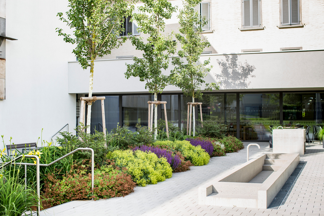 Ein Foto von Petra Rainer