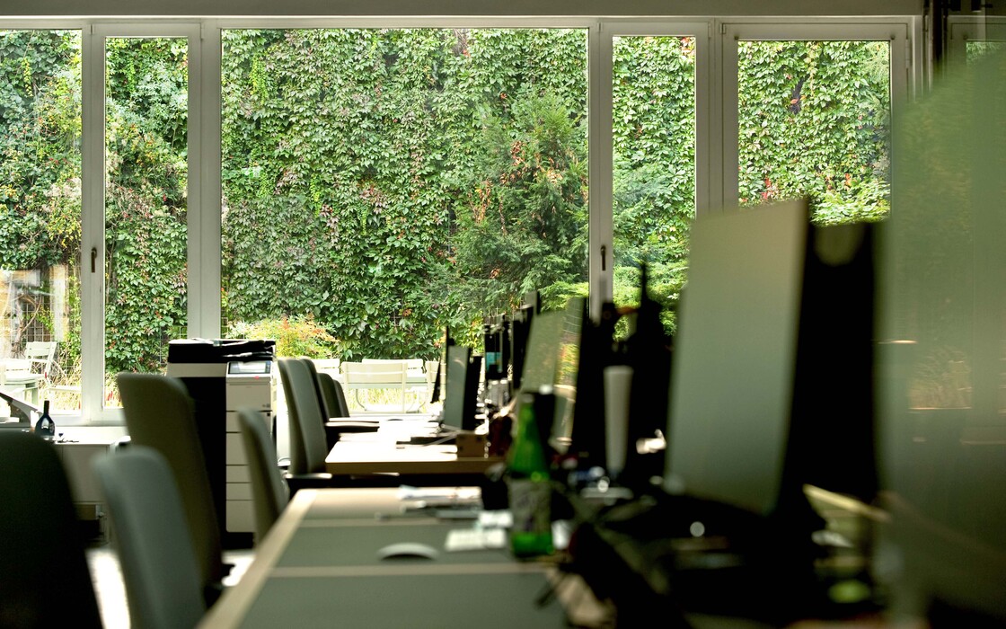 Ein Foto von Alexander Chitsazan