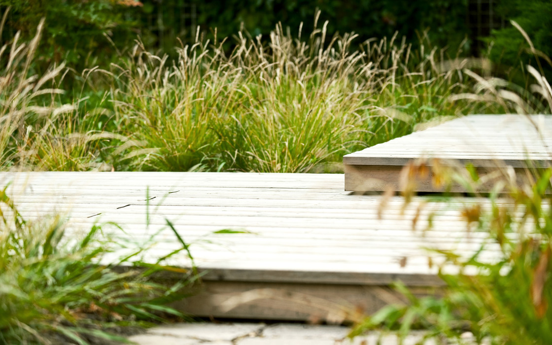 Ein Foto von Alexander Chitsazan