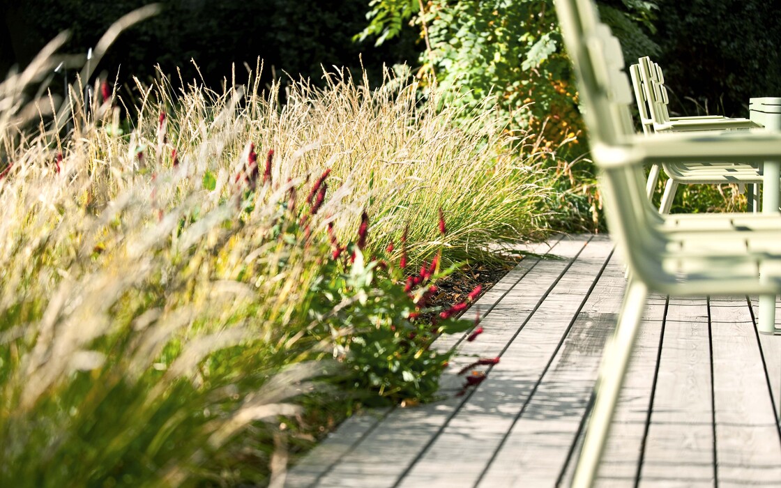 Ein Foto von Alexander Chitsazan