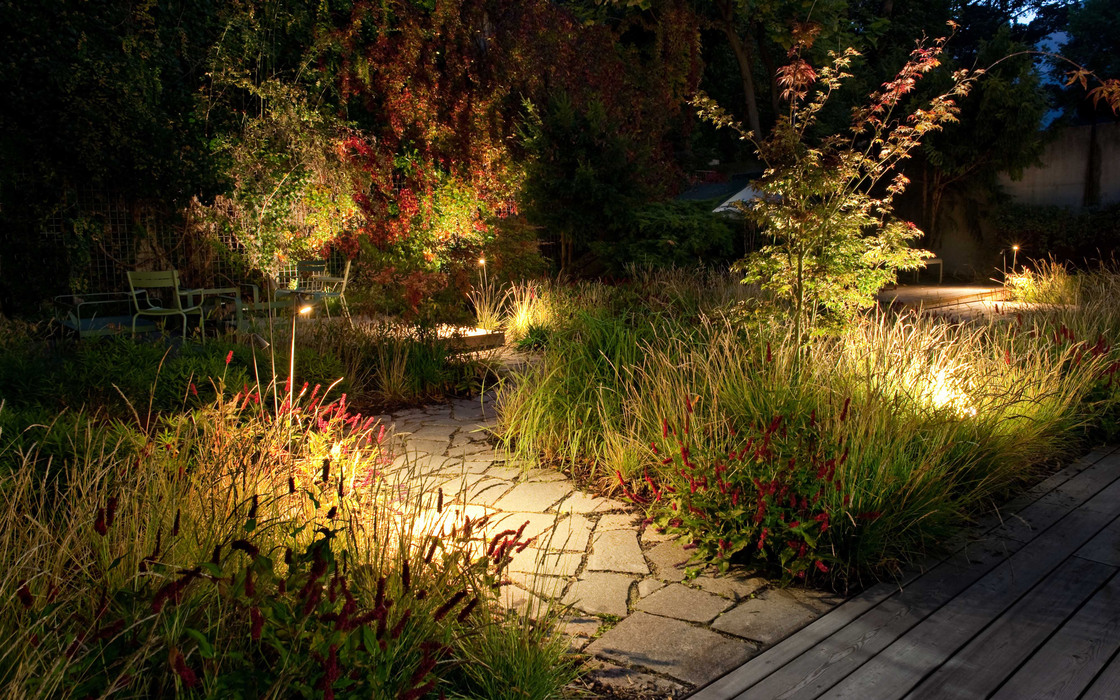 Ein Foto von Alexander Chitsazan