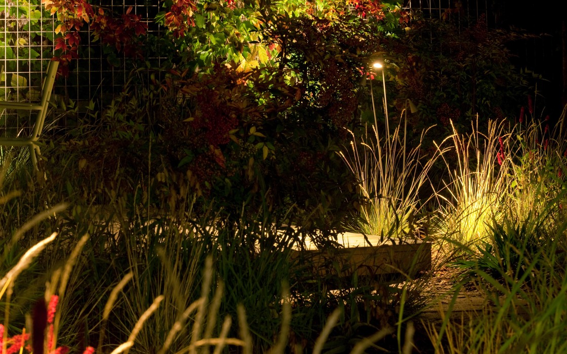 Ein Foto von Alexander Chitsazan