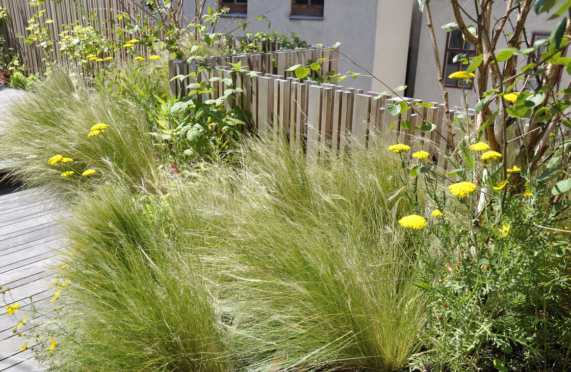 Ein Foto von Verena Frosch Landschaftsarchitektur
