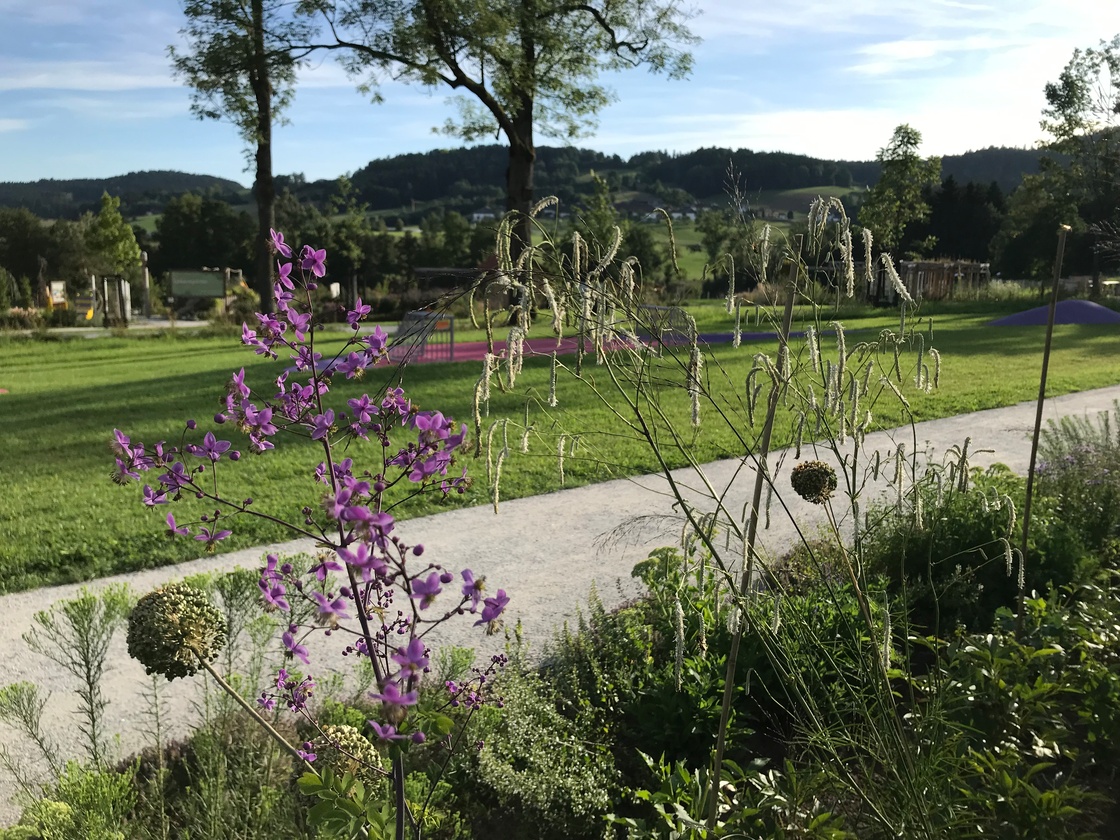 Ein Foto von Sabine Plenk