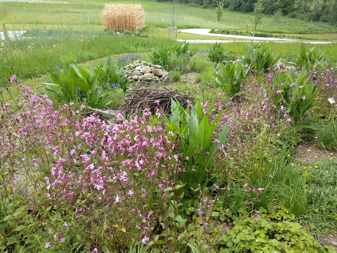 Ein Foto von Sabine Plenk