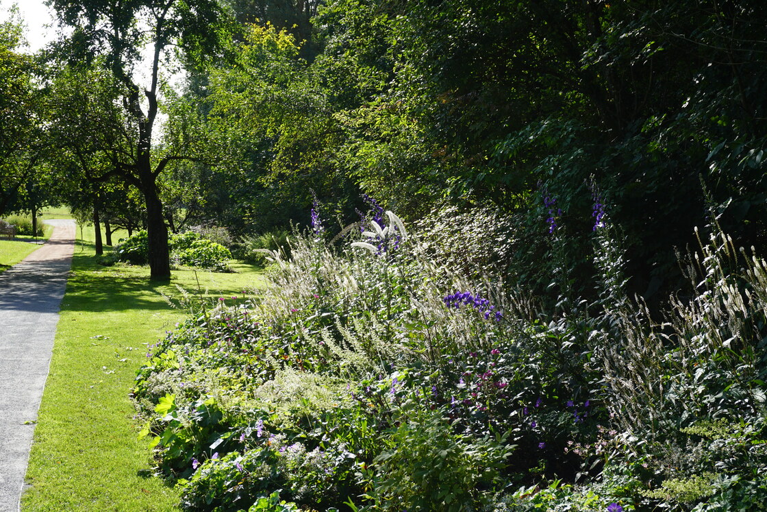 Ein Foto von Sabine Plenk