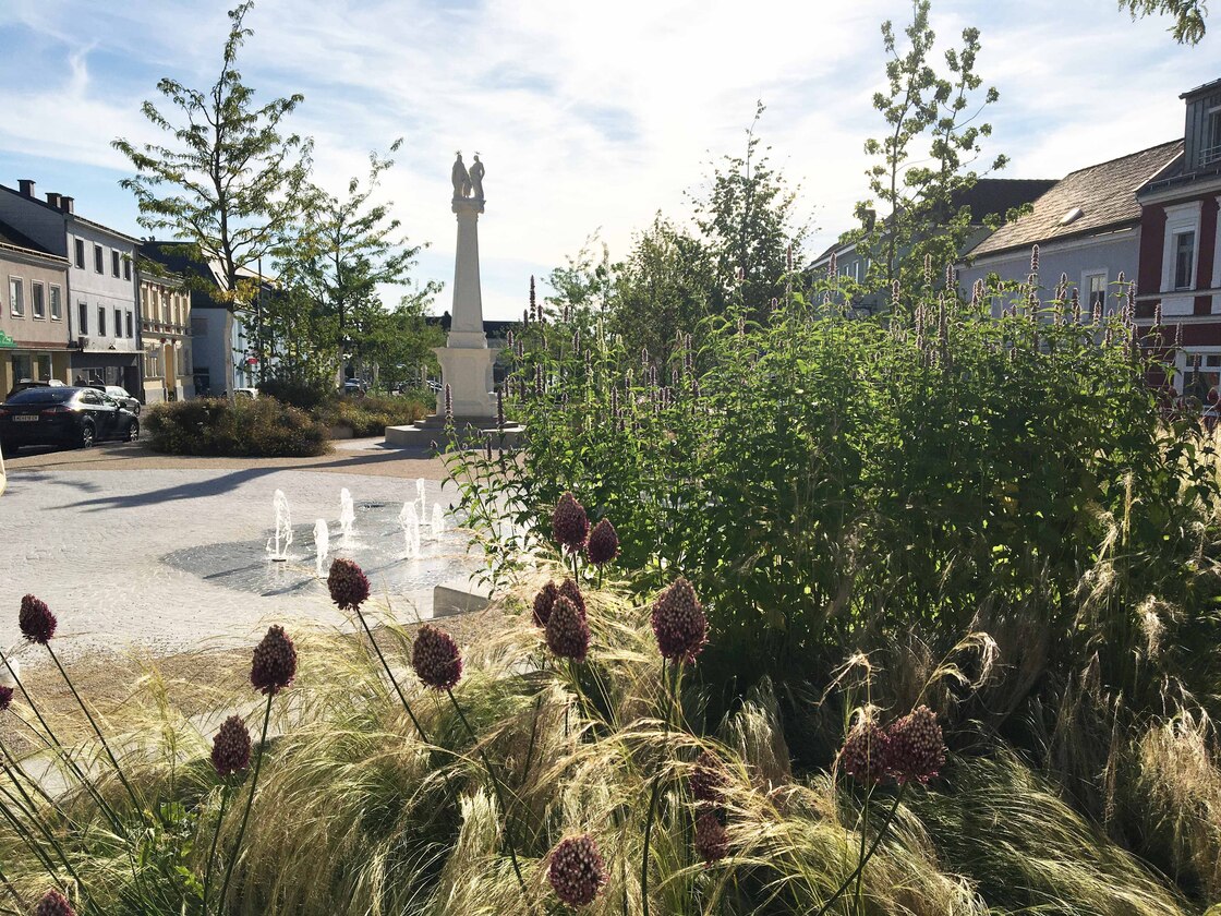 Ein Foto von David Dobetsberger