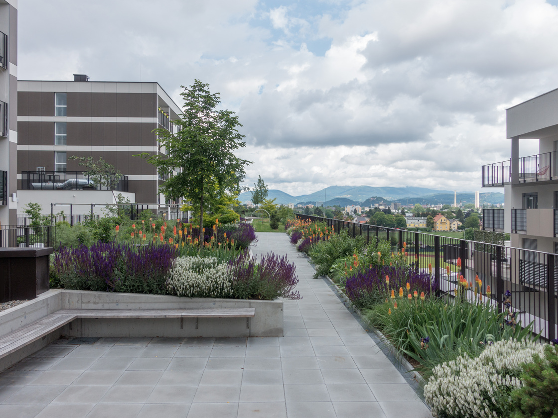 Ein Foto von Monsberger Gartenarchitektur