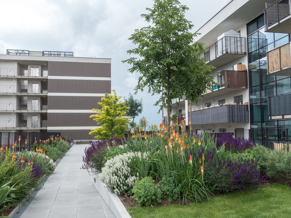 Ein Foto von Monsberger Gartenarchitektur