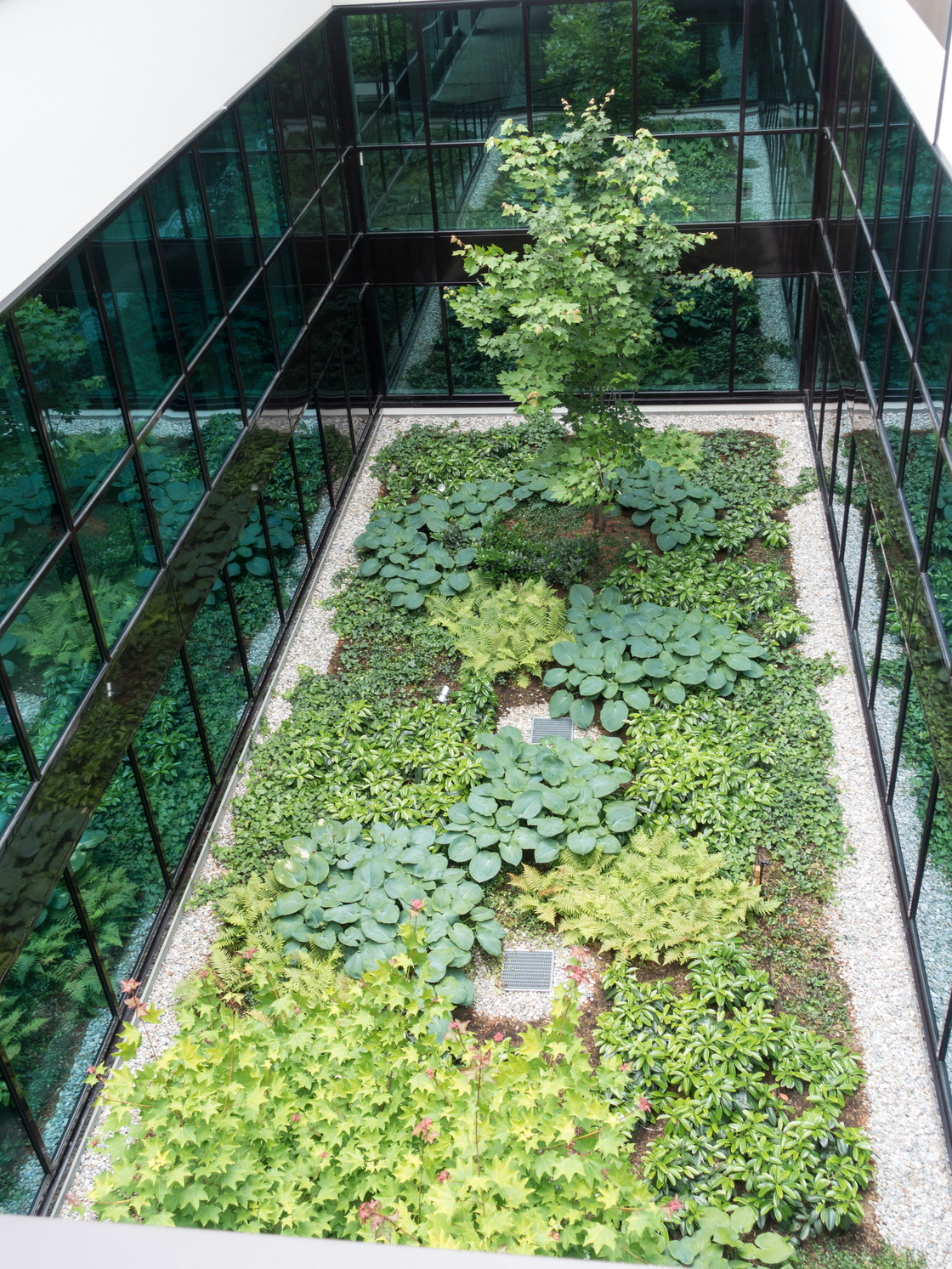 Ein Foto von Monsberger Gartenarchitektur