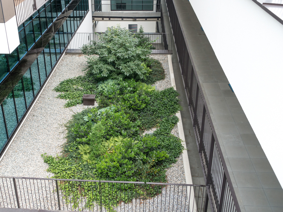 Ein Foto von Monsberger Gartenarchitektur