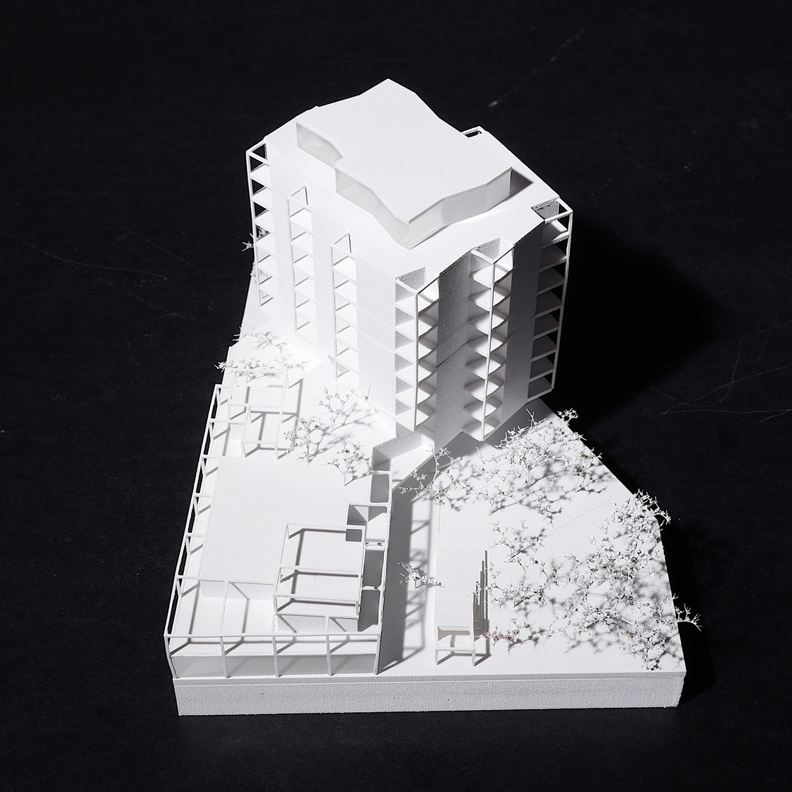 Ein Foto von Klammer Zeleny