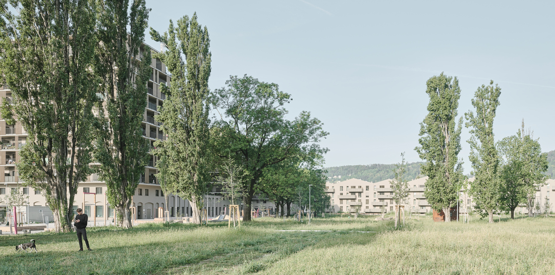 Ein Pressebild von David Schreyer