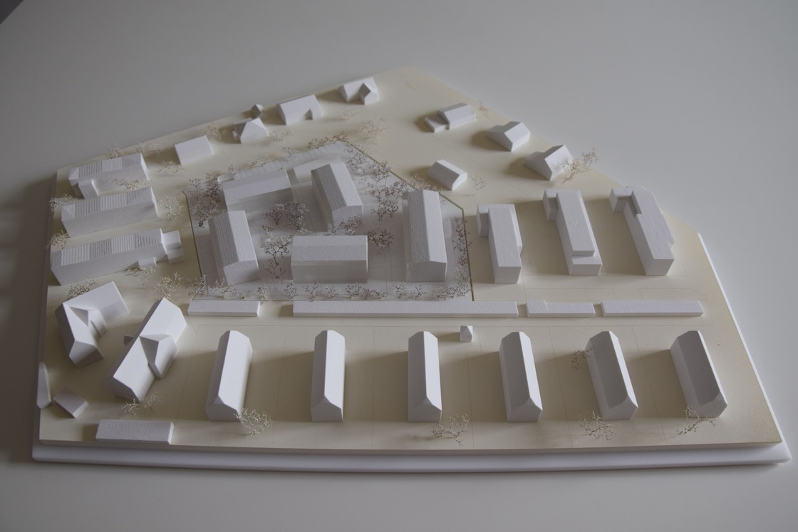 Ein Foto von Cornelia Pregartbauer