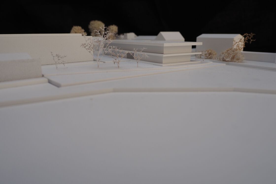 Ein Foto von Martin Schönberger