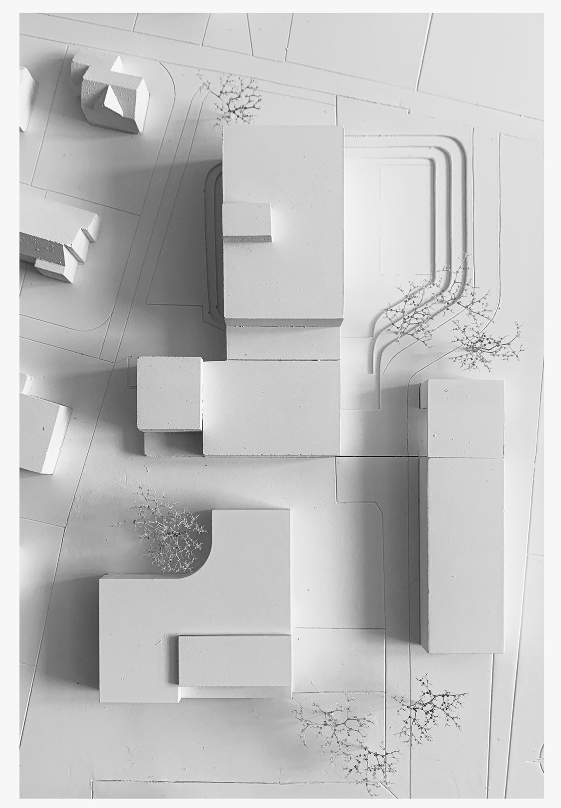 Ein Foto von Rainer Beer