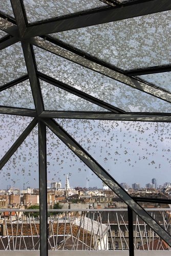 Ein Foto von Tamás Bujnovszky