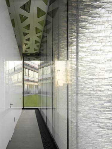 Ein Foto von Zooey Braun