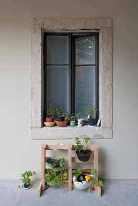 Ein Foto von Pez Hejduk