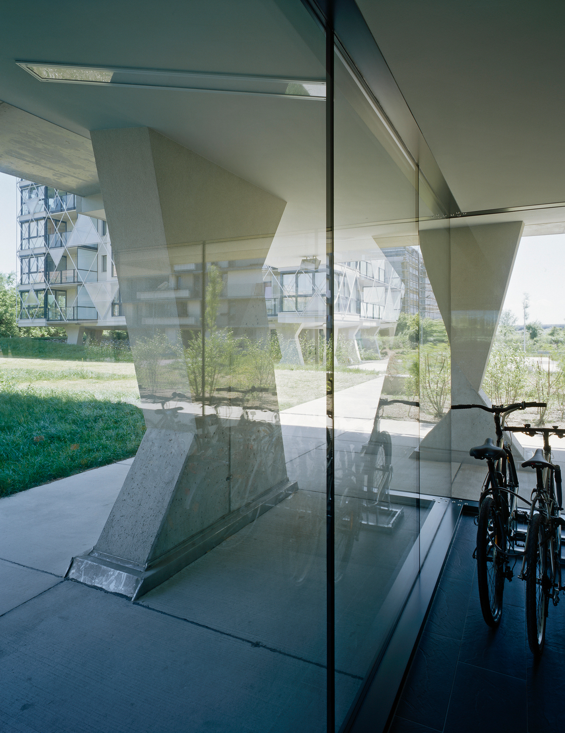 Ein Foto von Pez Hejduk