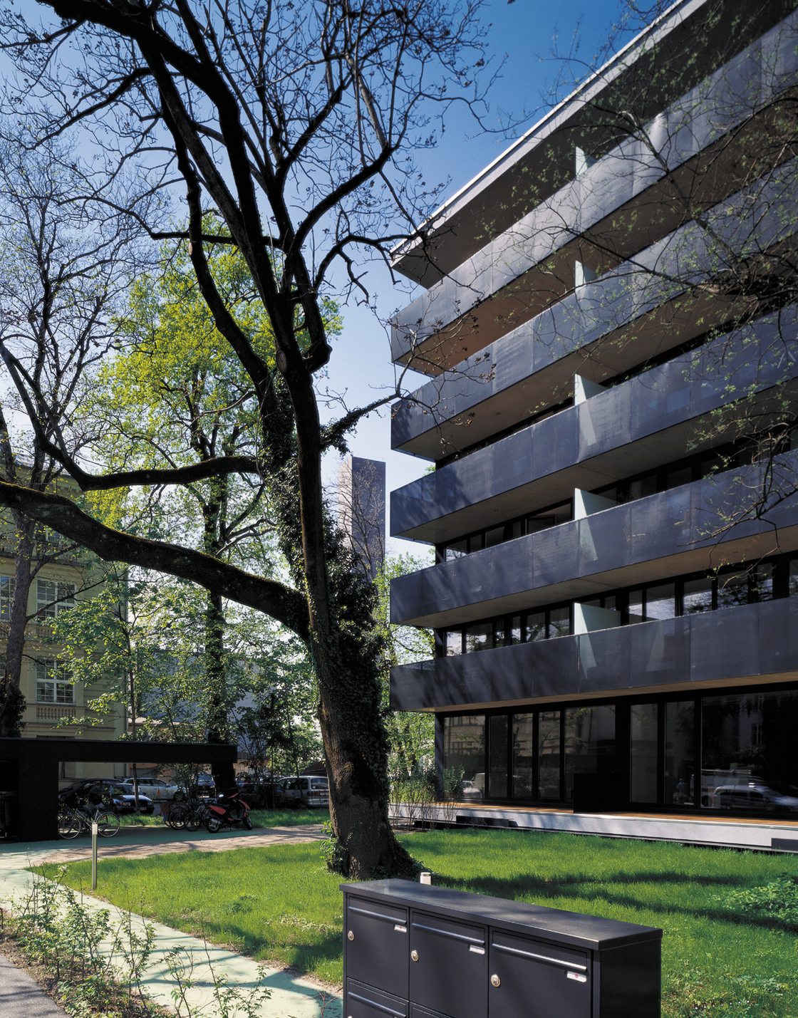 Ein Foto von Angelo Kaunat