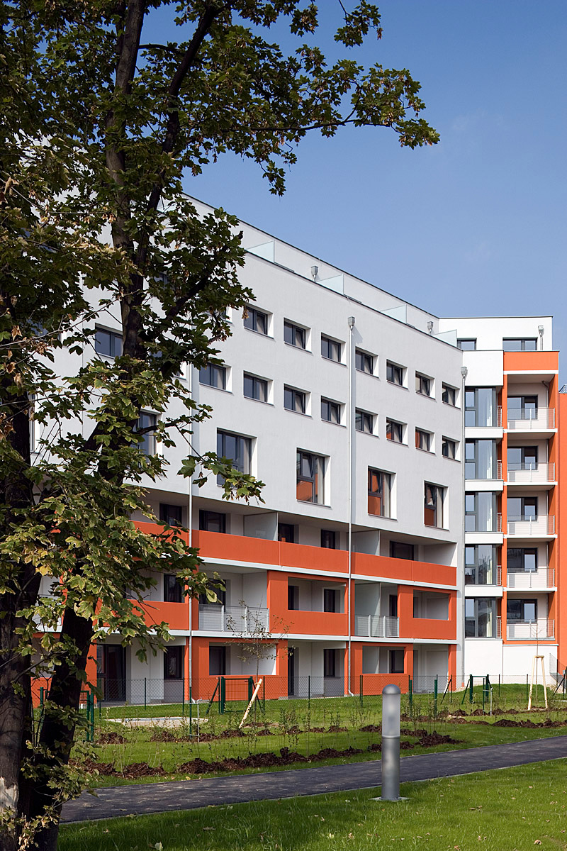 Ein Foto von Manfred Seidl