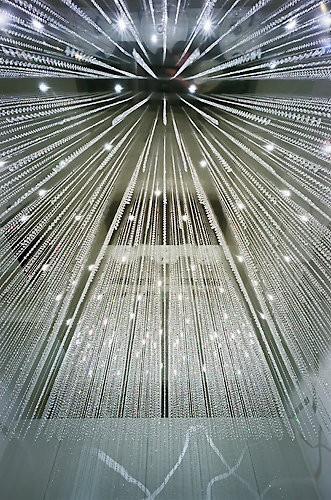 Ein Foto von Rupert Steiner