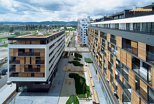 Ein Foto von Rupert Steiner