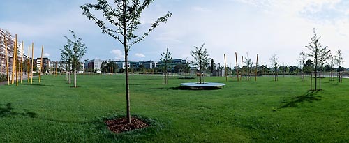 Ein Foto von Rupert Steiner